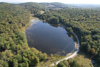 (private lake, pond, creek) Home For Sale in Wyalusing Pennsylvania