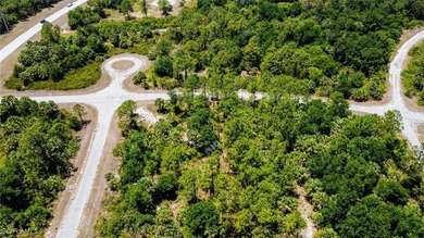 Build Your Florida Dream Home! Discover this premium residential - photo 3