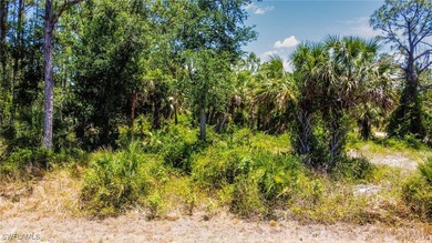 Build Your Florida Dream Home! Discover this premium residential - photo 5