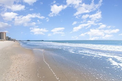 Amazing Direct OCEANFRONT views from this fully furnished 1 - photo 29