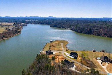 CUSTOM-BUILT NEW home with 165' of PRIVATE LAKEFRONT and - photo 3