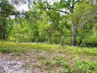 (private lake, pond, creek) Acreage For Sale in Dade City Florida