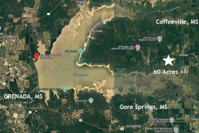 Grenada Reservoir Acreage For Sale in Grenda County Mississippi