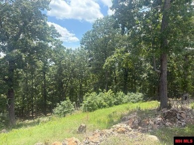 Rustic Lakeview Retreat on 22.74 Acres - Off-Grid Ready! If - photo 11