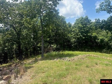 Rustic Lakeview Retreat on 22.74 Acres - Off-Grid Ready! If - photo 12
