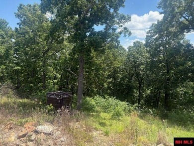 Rustic Lakeview Retreat on 22.74 Acres - Off-Grid Ready! If - photo 13