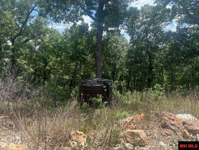 Rustic Lakeview Retreat on 22.74 Acres - Off-Grid Ready! If - photo 14