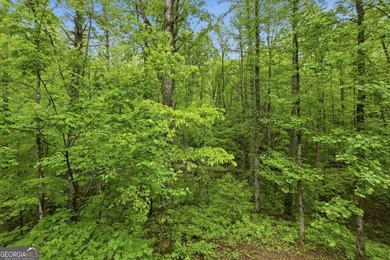 Tucked away in the woods of Sautee Nacoochee, this exceptionally - photo 24