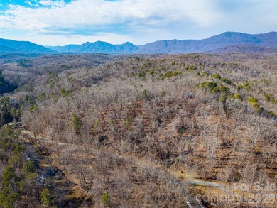 (private lake, pond, coastal) Acreage For Sale in Tryon North Carolina