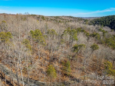 Discover the perfect blend of privacy, natural beauty, and - photo 7