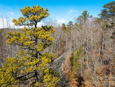 Discover the perfect blend of privacy, natural beauty, and - photo 8
