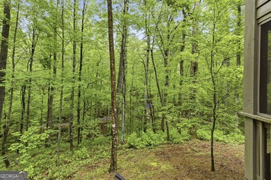 Tucked away in the woods of Sautee Nacoochee, this exceptionally - photo 44