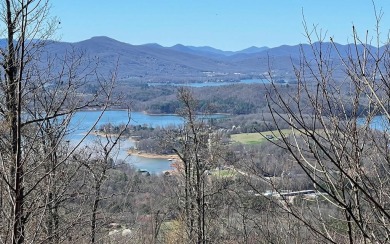 Lake Chatuge Lot For Sale in Hayesville North Carolina