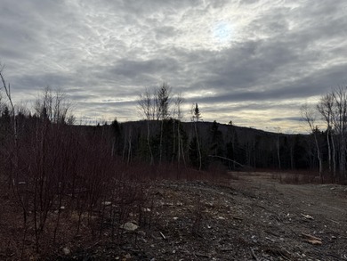 Lombard Lake Acreage For Sale in Springfield Maine