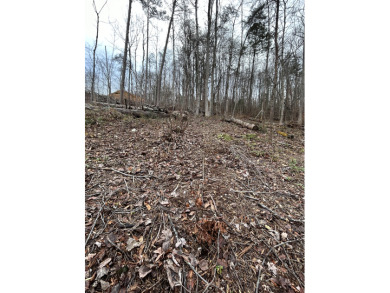 Norris Lake Lot Under Contract in Rocky Top Tennessee