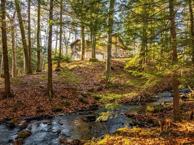 Lake Home For Sale in Appleton, Maine