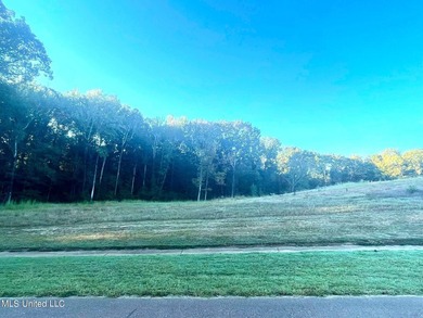 Incomparable Gray's Creek in Hernando, MS ~ Build your luxury - photo 2