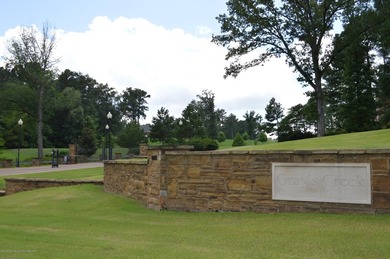Incomparable Gray's Creek in Hernando, MS ~ Build your luxury - photo 3