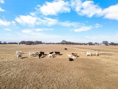 Offered at $25,000,000 MLS #21144464 An iconic North Texas land - photo 9