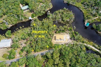 Build where others vacation! This .57-acre wooded waterfront - photo 2