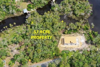 Build where others vacation! This .57-acre wooded waterfront - photo 3