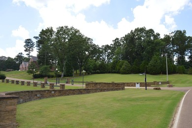 Welcome home to Gray's Creek, the most desired address in DeSoto - photo 5