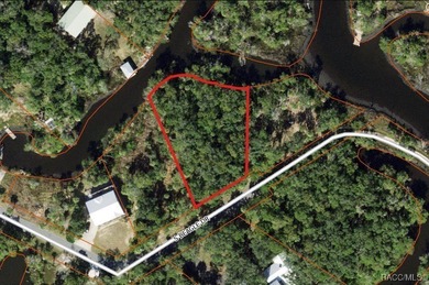 Build where others vacation! This .57-acre wooded waterfront - photo 5