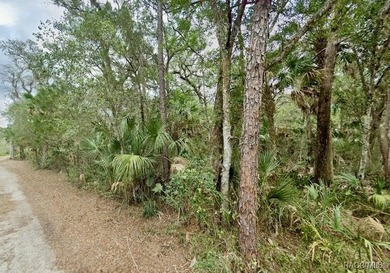 Build where others vacation! This .57-acre wooded waterfront - photo 7