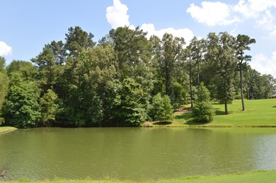 Welcome home to Gray's Creek, the most desired address in DeSoto - photo 9