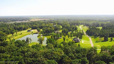 Welcome home to Gray's Creek, the most desired address in DeSoto - photo 10