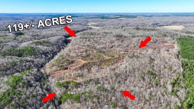 Lake Acreage For Sale in Savannah, Tennessee