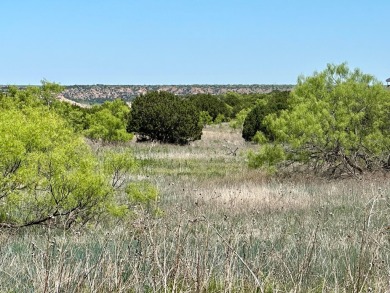 Lake Tanglewood Acreage For Sale in Canyon Texas