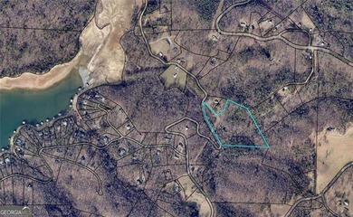 Lake Acreage For Sale in Morganton, Georgia
