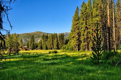 Tucked along the banks of the beautiful Secesh River, this rare - photo 3