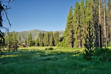 Tucked along the banks of the beautiful Secesh River, this rare - photo 7