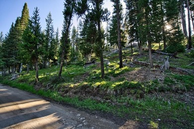 Tucked along the banks of the beautiful Secesh River, this rare - photo 8