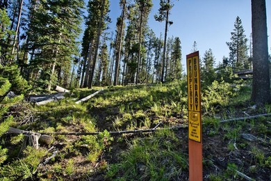 Tucked along the banks of the beautiful Secesh River, this rare - photo 9