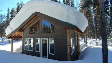 Secluded backcountry retreat in beautiful Secesh with 199 FEET - photo 3