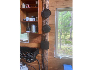 Secluded backcountry retreat in beautiful Secesh with 199 FEET - photo 8
