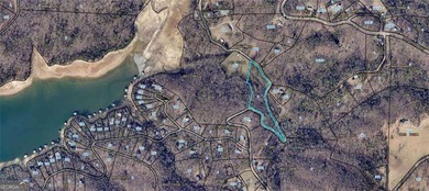 Lake Acreage For Sale in Morganton, Georgia