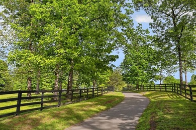 Located in Sequatchie County near Dunlap, Tennessee, this - photo 2