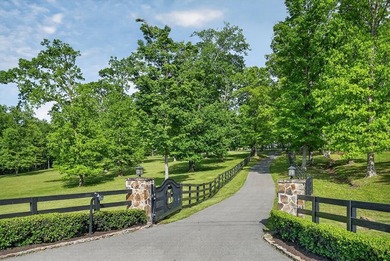 Located in Sequatchie County near Dunlap, Tennessee, this - photo 7