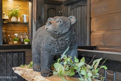 High-performing short-term rental with standout financials and - photo 14