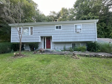 Lake Home For Sale in New Milford, Connecticut