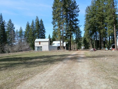 Lake Home For Sale in Loon Lake, Washington