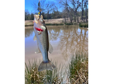 (private lake, pond, creek) Home For Sale in Mead Oklahoma