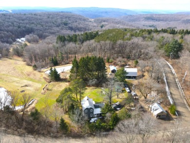 Lake Home For Sale in Ellicottville, New York