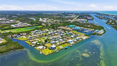 Stunning waterfront living with breathtaking Lemon Bay sunset - photo 5