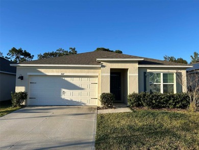 Buck Lake - Osceola County Home For Sale in Harmony Florida