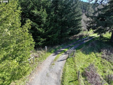 Private, Peaceful Creekside Retreat on 1.99 Acres - Gated - photo 6
